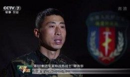 中国特种兵爆料视频播放,实战训练与使命担当